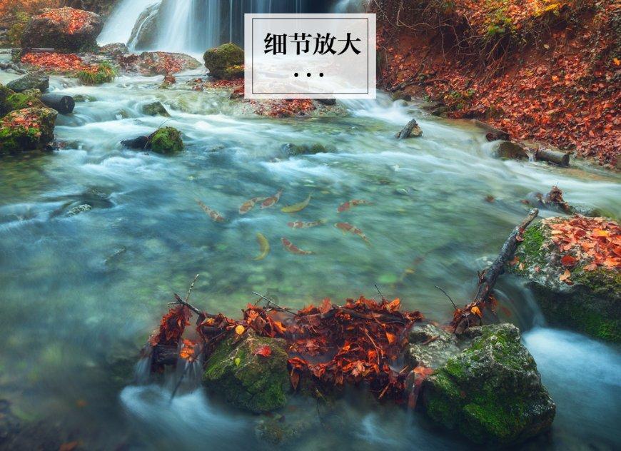 逃离倒影森林
